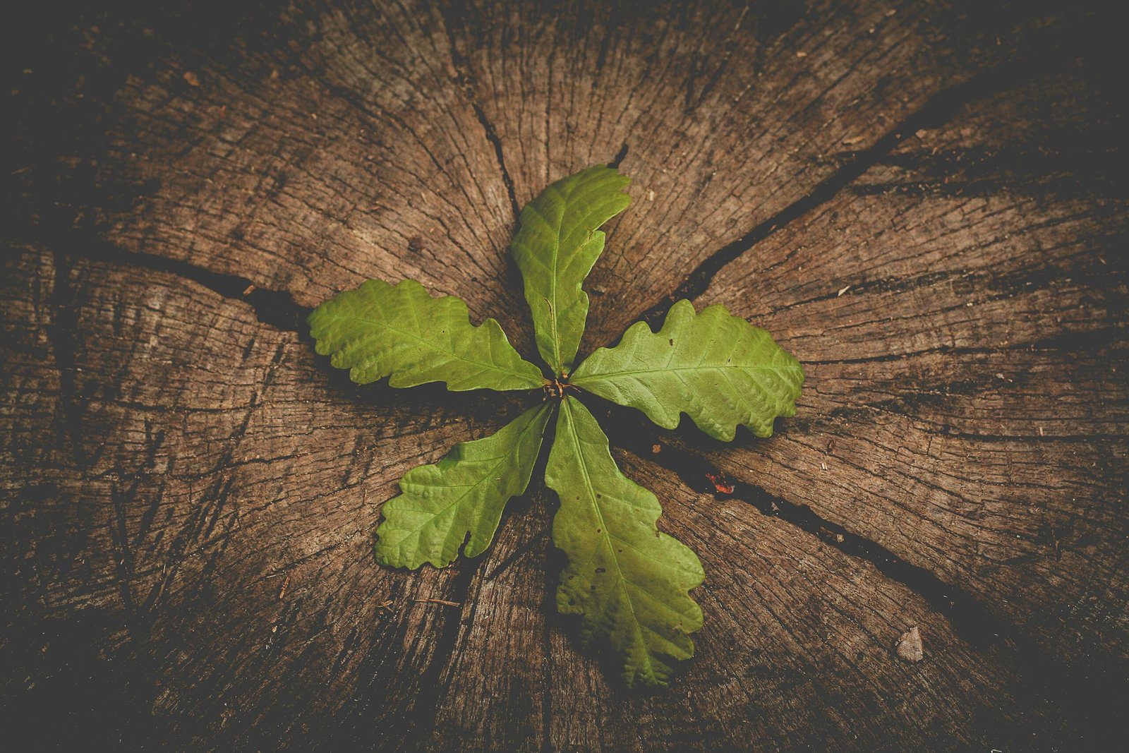 Succession Crypto France 2025 : Loi, MiCA, 7 Méthodes